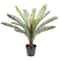 2ft. Premade Potted Sago Palm Plant by Ashland®